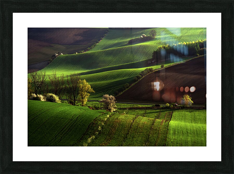 Between Green Waves Picture Frame print