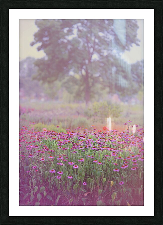 Monet Spring  Picture Frame print
