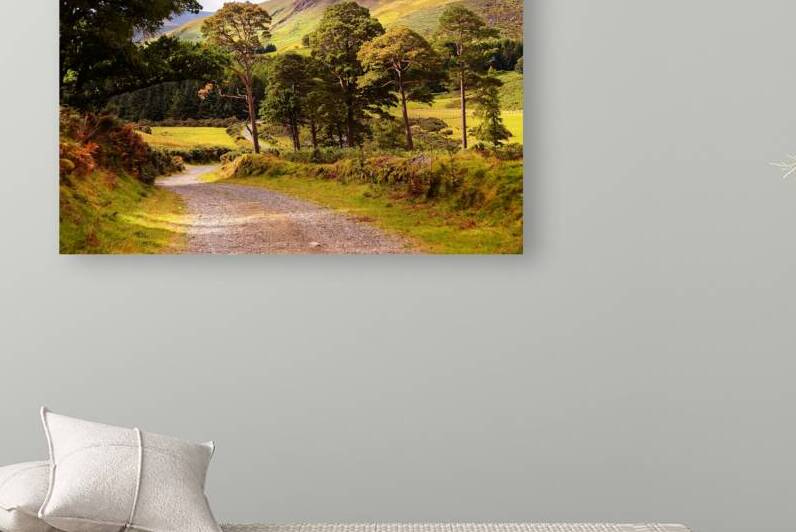Celtic Spirit  - Wicklow Mountains - Ireland by Jenny Rainbow