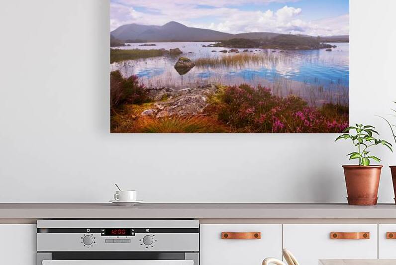 Colorful World of Rannoch Moor. Scotland by Jenny Rainbow