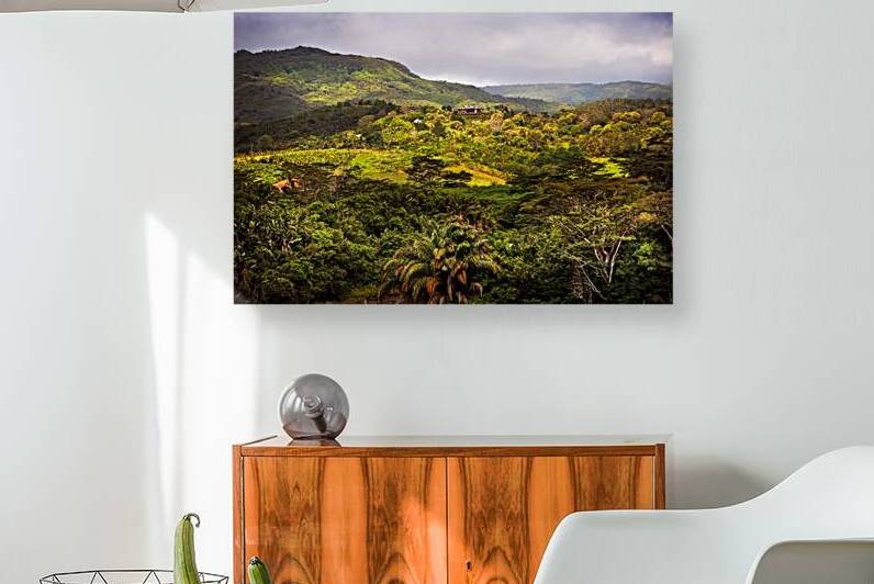 Chamarel Natural Park. Mauritius by Jenny Rainbow