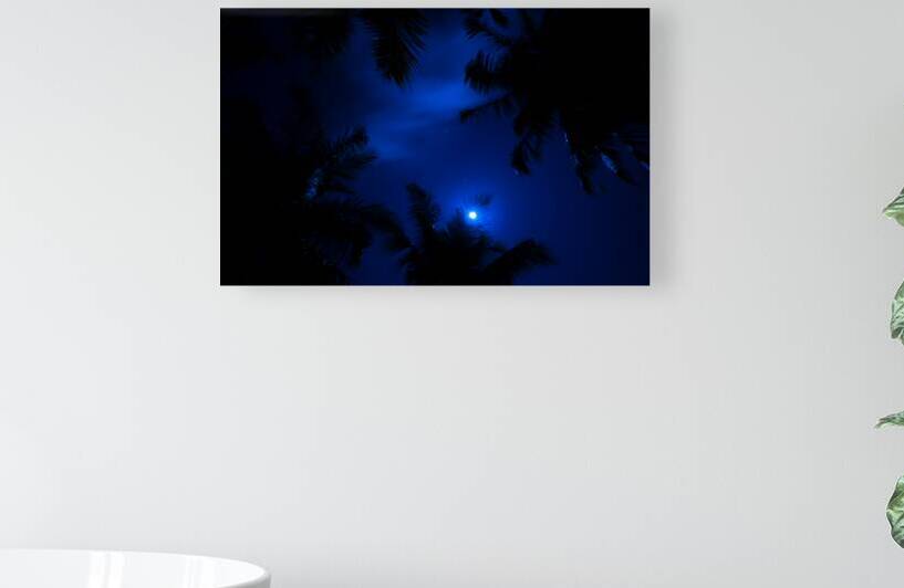 Magic of the Night Sky by Jenny Rainbow