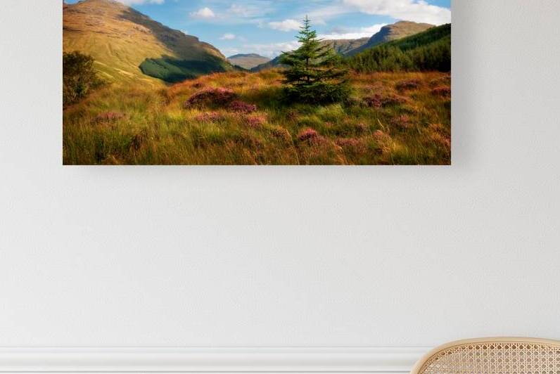 Mountain Pastoral. Rest and Be Thankful. Scotland by Jenny Rainbow