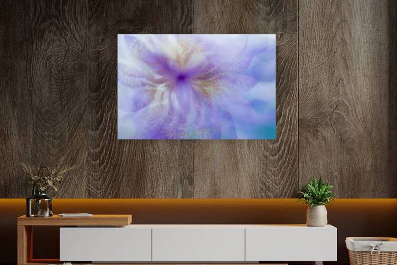 Iris Rhapsody. Purple by Jenny Rainbow