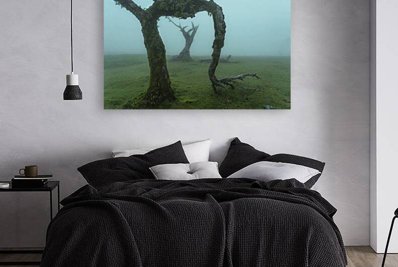The Valley of Lost Souls - In Frame by Jenny Rainbow