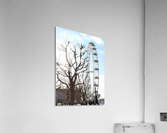sunny big eye Acrylic Print