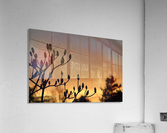 sky tree Acrylic Print