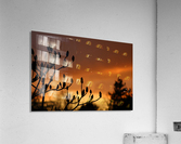 deep red sky Acrylic Print