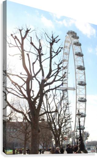 sunny big eye Canvas Print