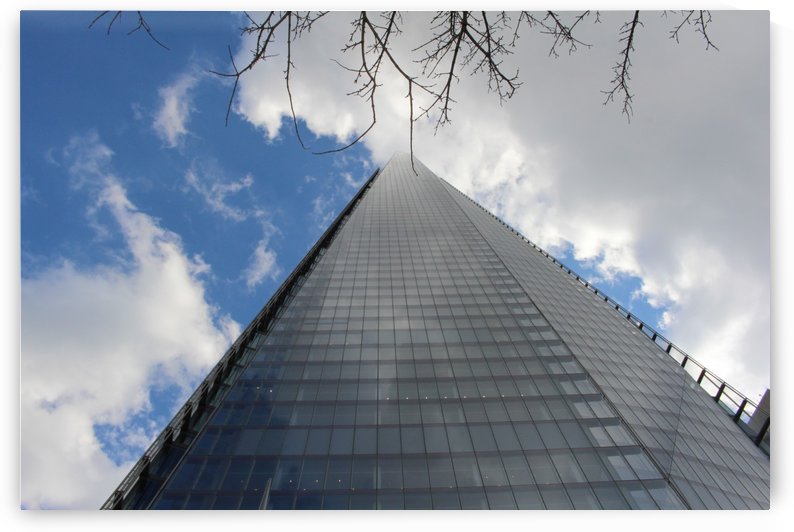 Point to the sky by sarah fairest