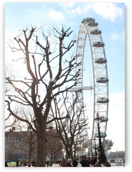 sunny big eye by sarah fairest