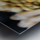 one stick or two Metal print