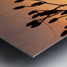 red sky Metal print