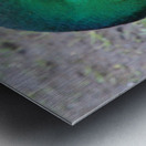 quack quack Metal print