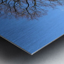 blue sky tree Metal print