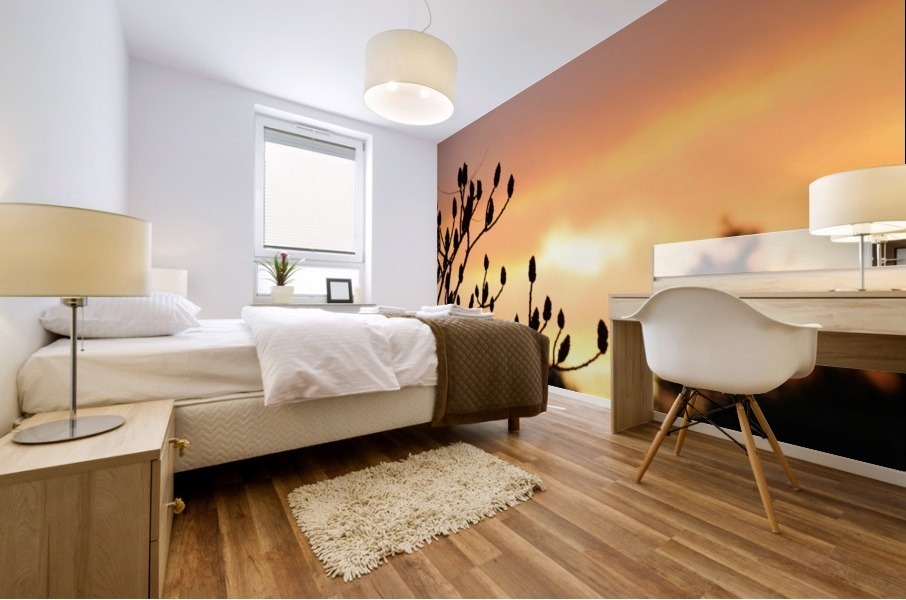red sky Mural print