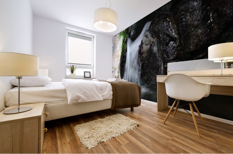 waterfall Mural print