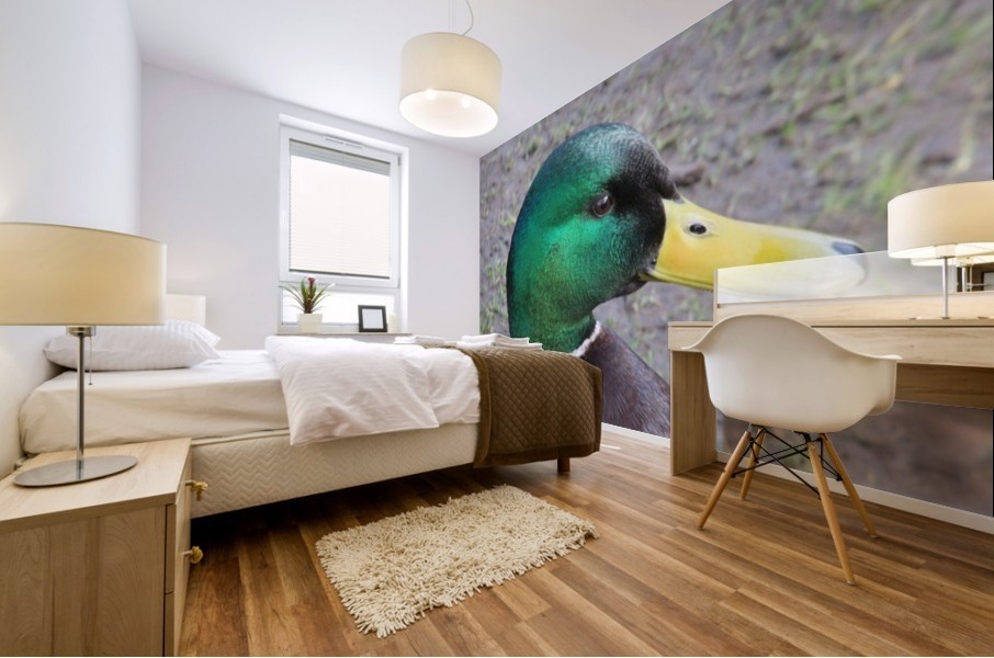 quack quack Mural print