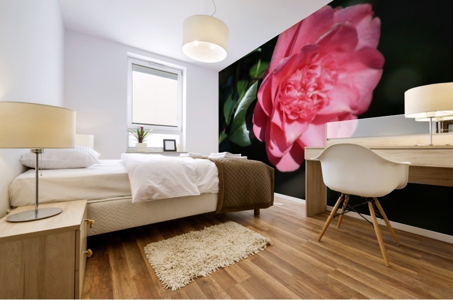 pink flower Mural print