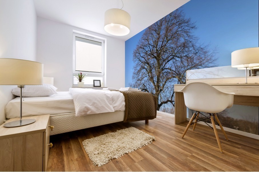 blue sky tree Mural print