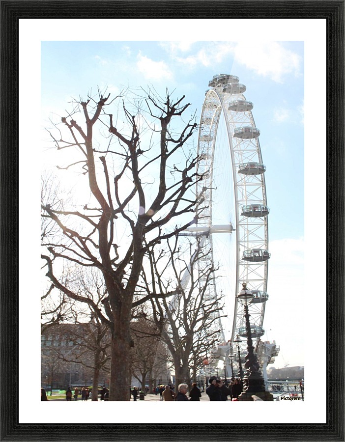 sunny big eye Picture Frame print
