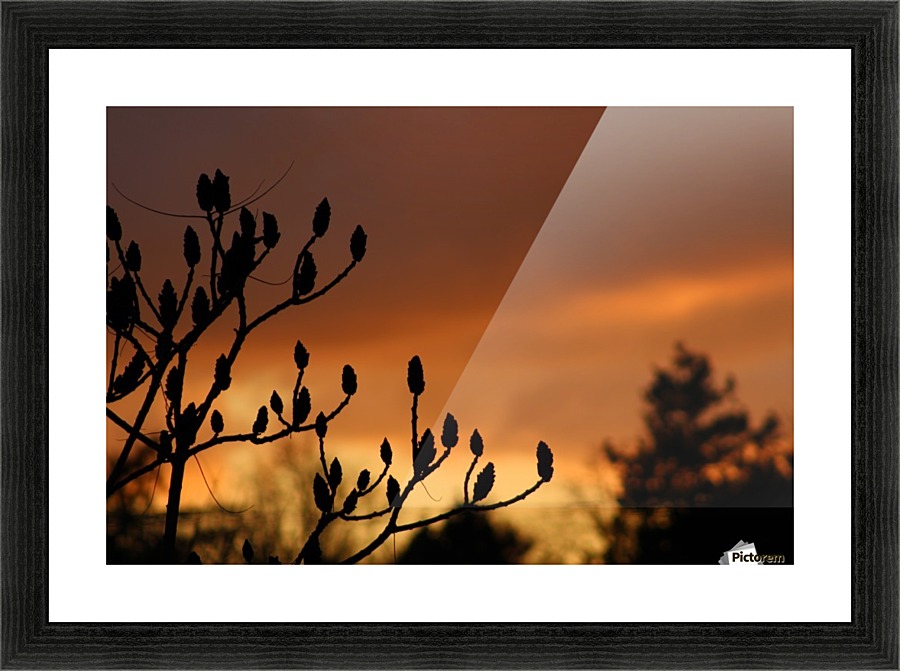deep red sky Picture Frame print