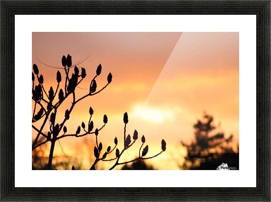red sky Picture Frame print