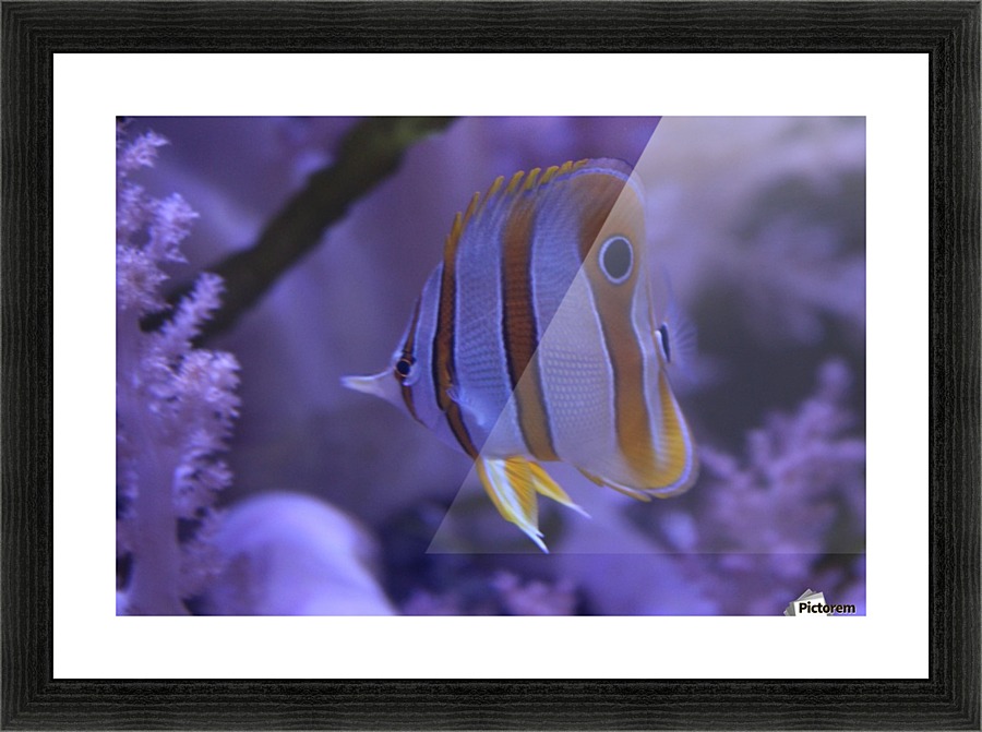 stripes Picture Frame print