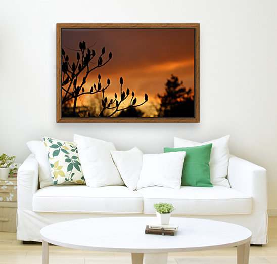 deep red sky Reproduction