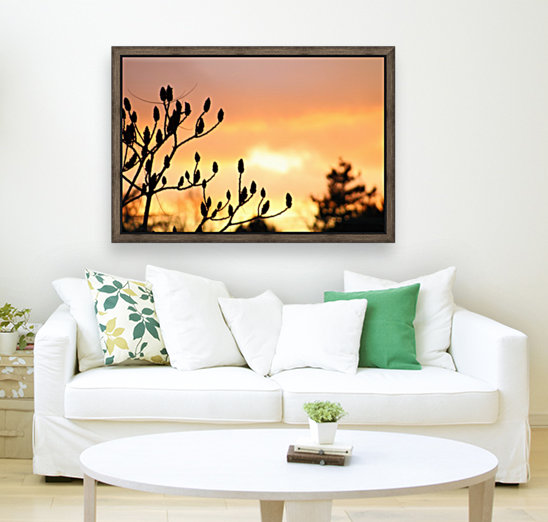 red sky Reproduction