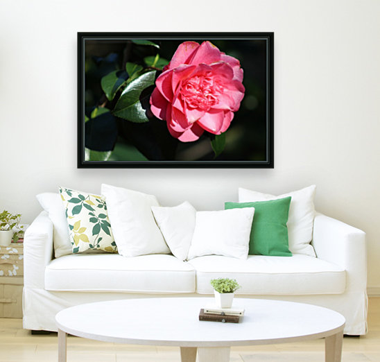 pink flower Reproduction