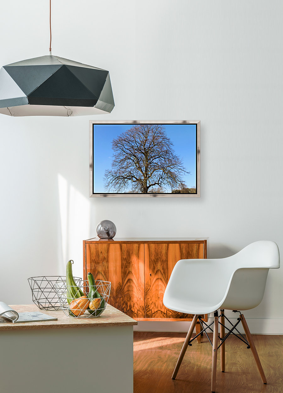 blue sky tree Reproduction