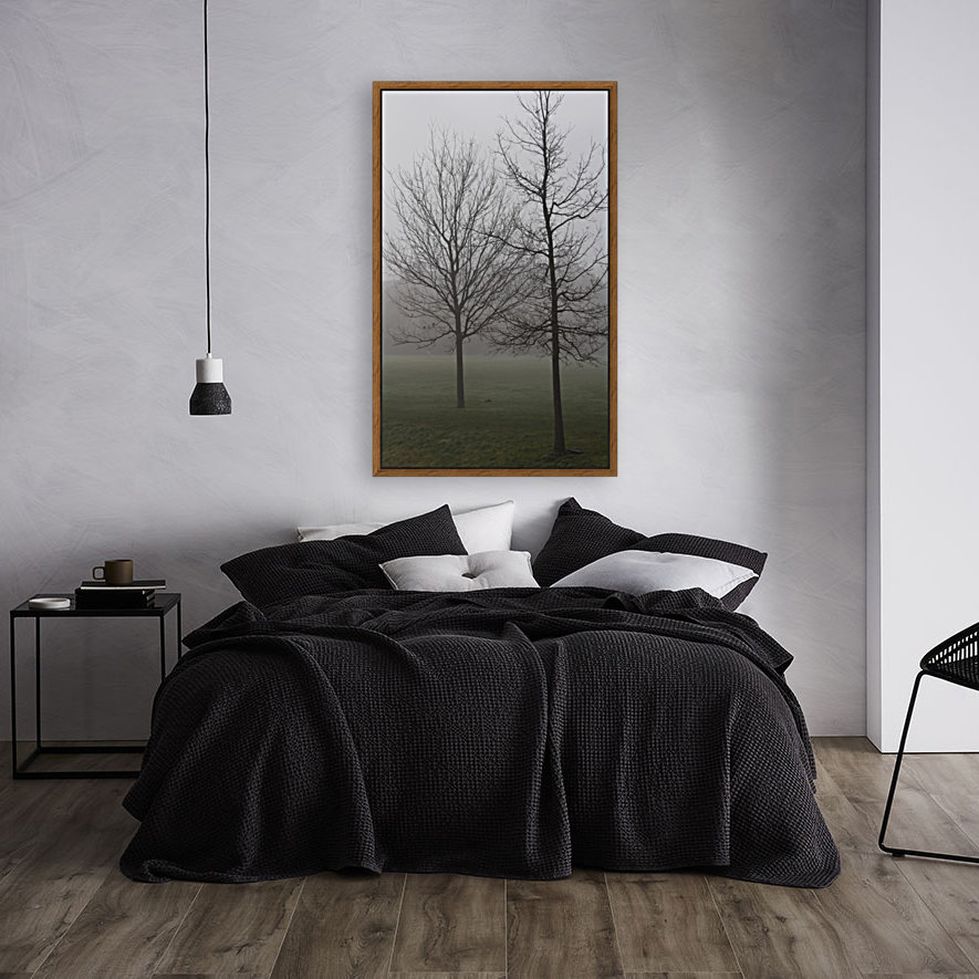 trees in fog Reproduction
