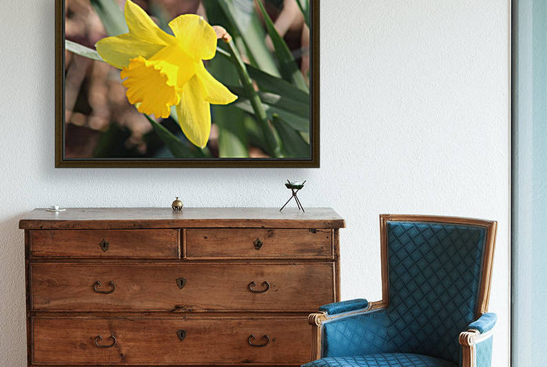 morning sunshine by sarah fairest