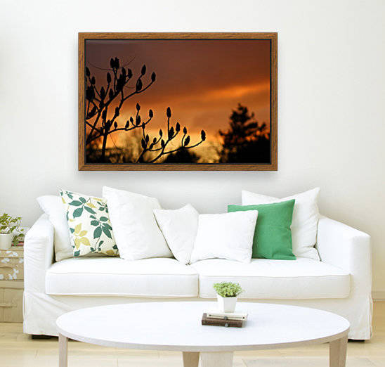 deep red sky by sarah fairest