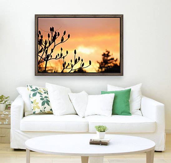 red sky by sarah fairest