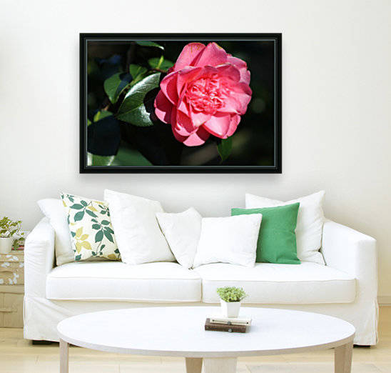 pink flower by sarah fairest