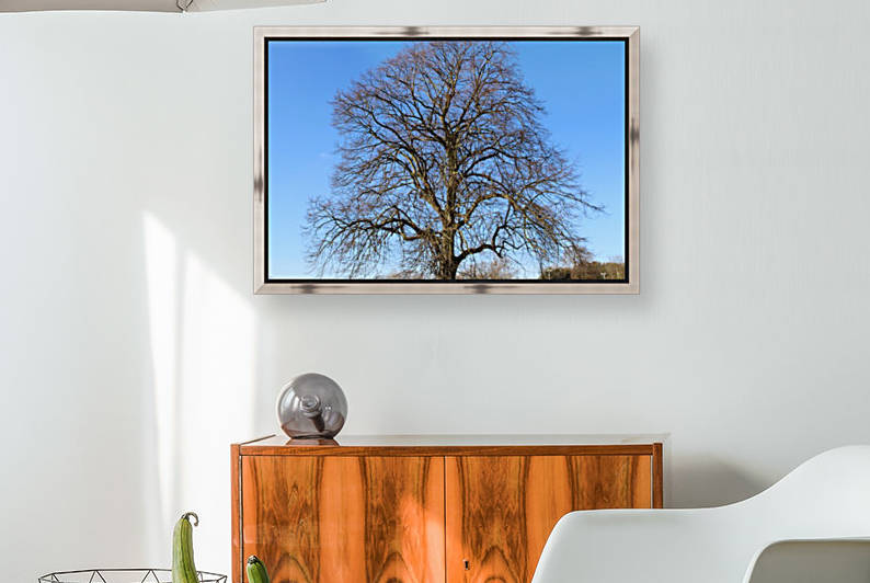 blue sky tree by sarah fairest