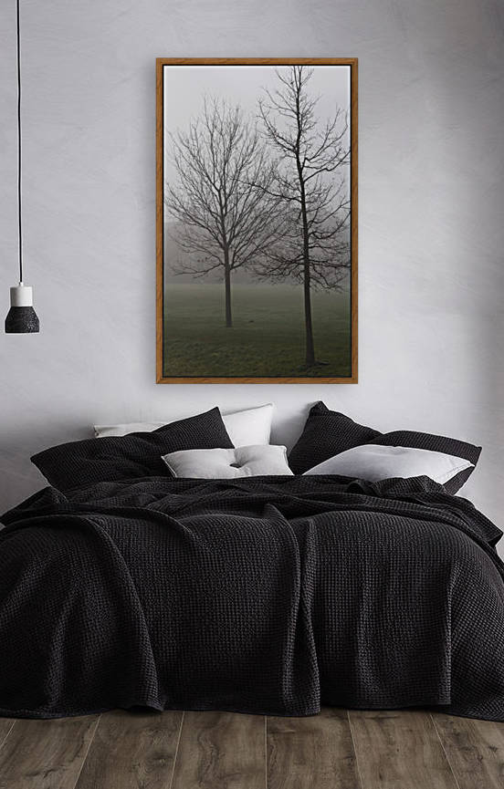 trees in fog by sarah fairest