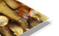 Breadjenga HD Metal print
