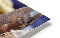 one stick or two HD Metal print