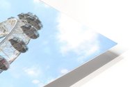 sunny big eye HD Metal print
