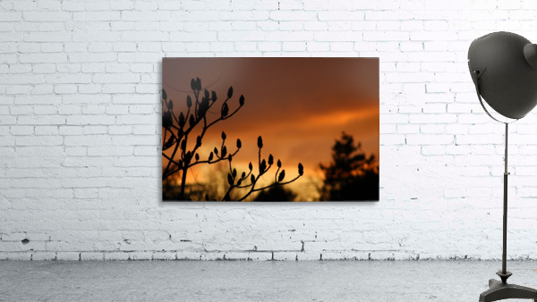 deep red sky Wall Preview