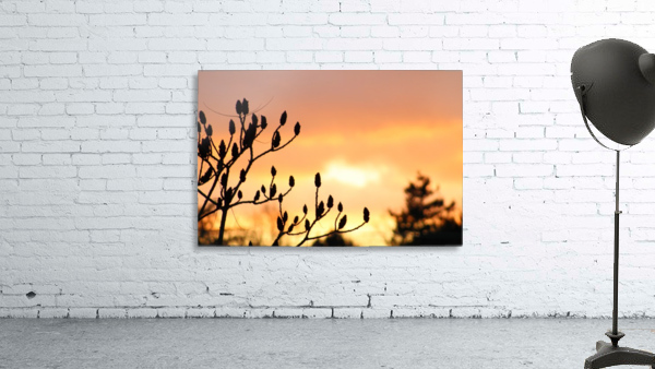red sky Wall Preview