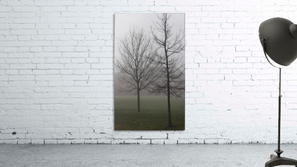 trees in fog Wall Preview