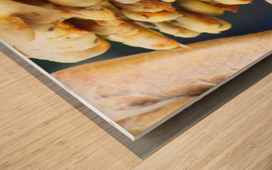 Breadjenga Wood print