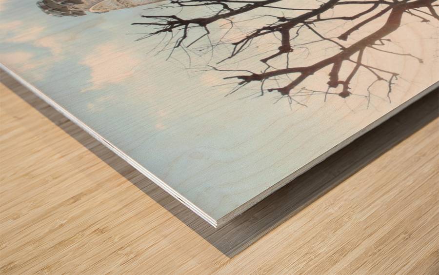 sunny big eye Wood print