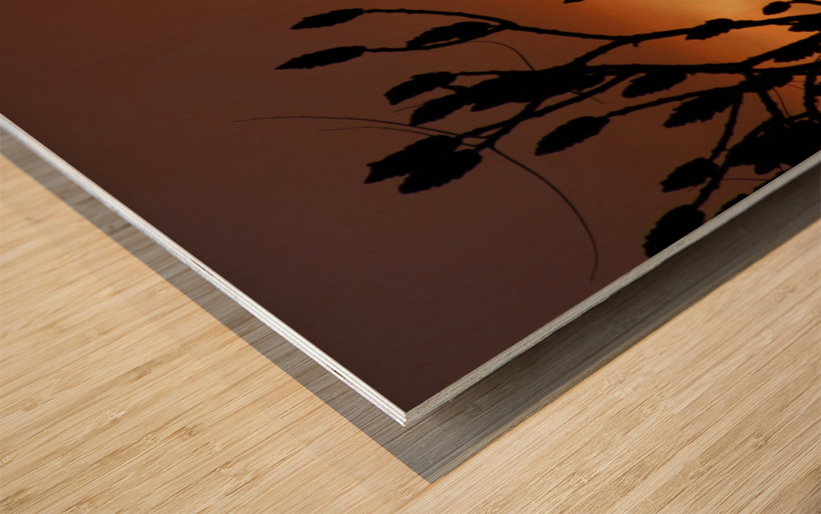 deep red sky Wood print