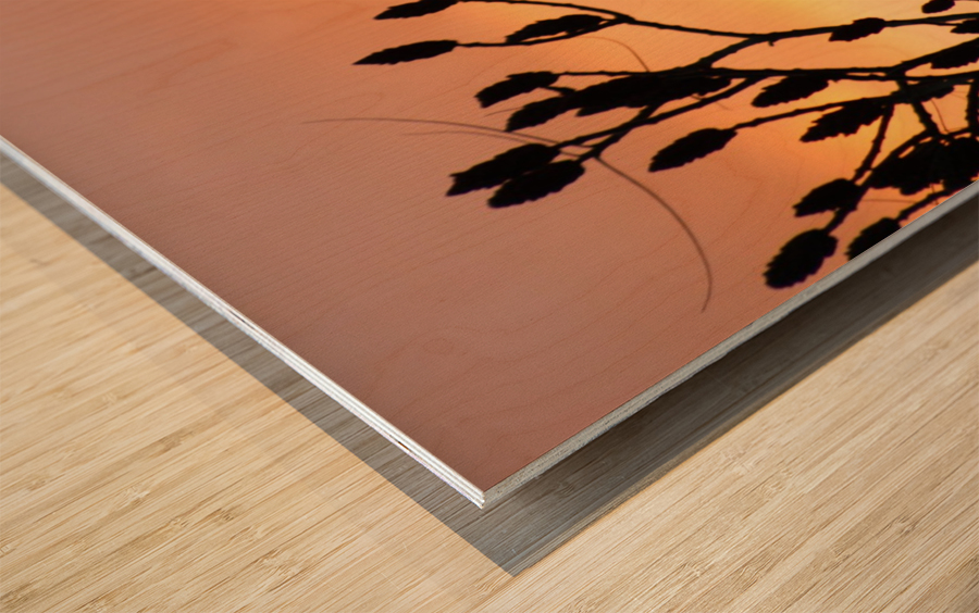 red sky Wood print