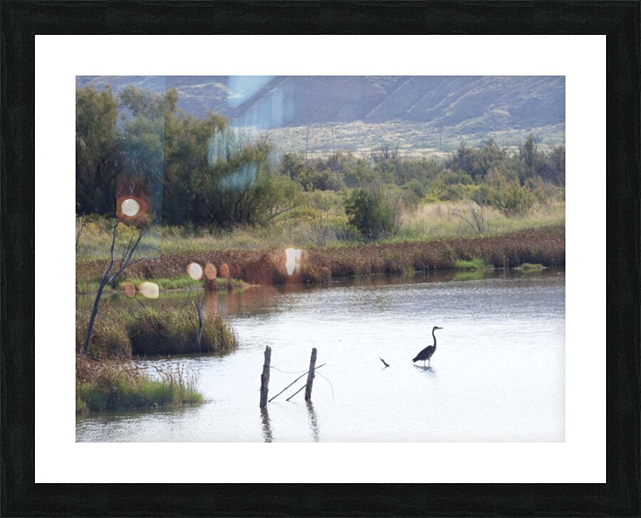 bitterlakes view Picture Frame print